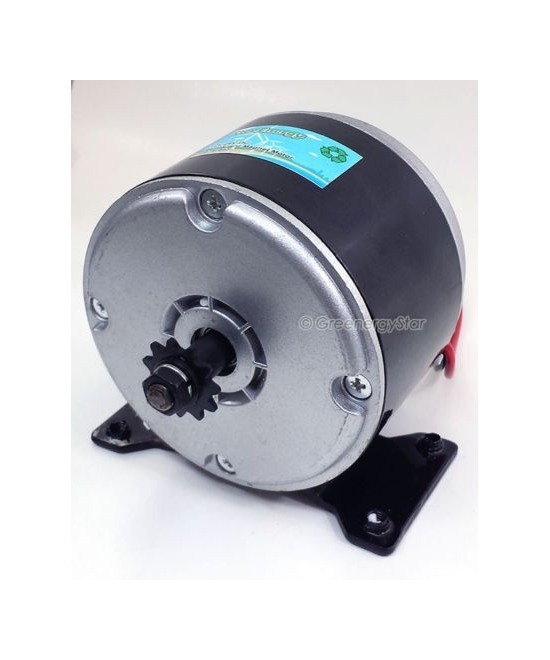 Generador DC de iman permanente 300W