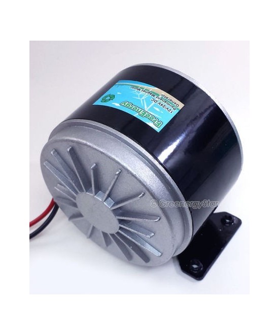 Generador DC de iman permanente 300W