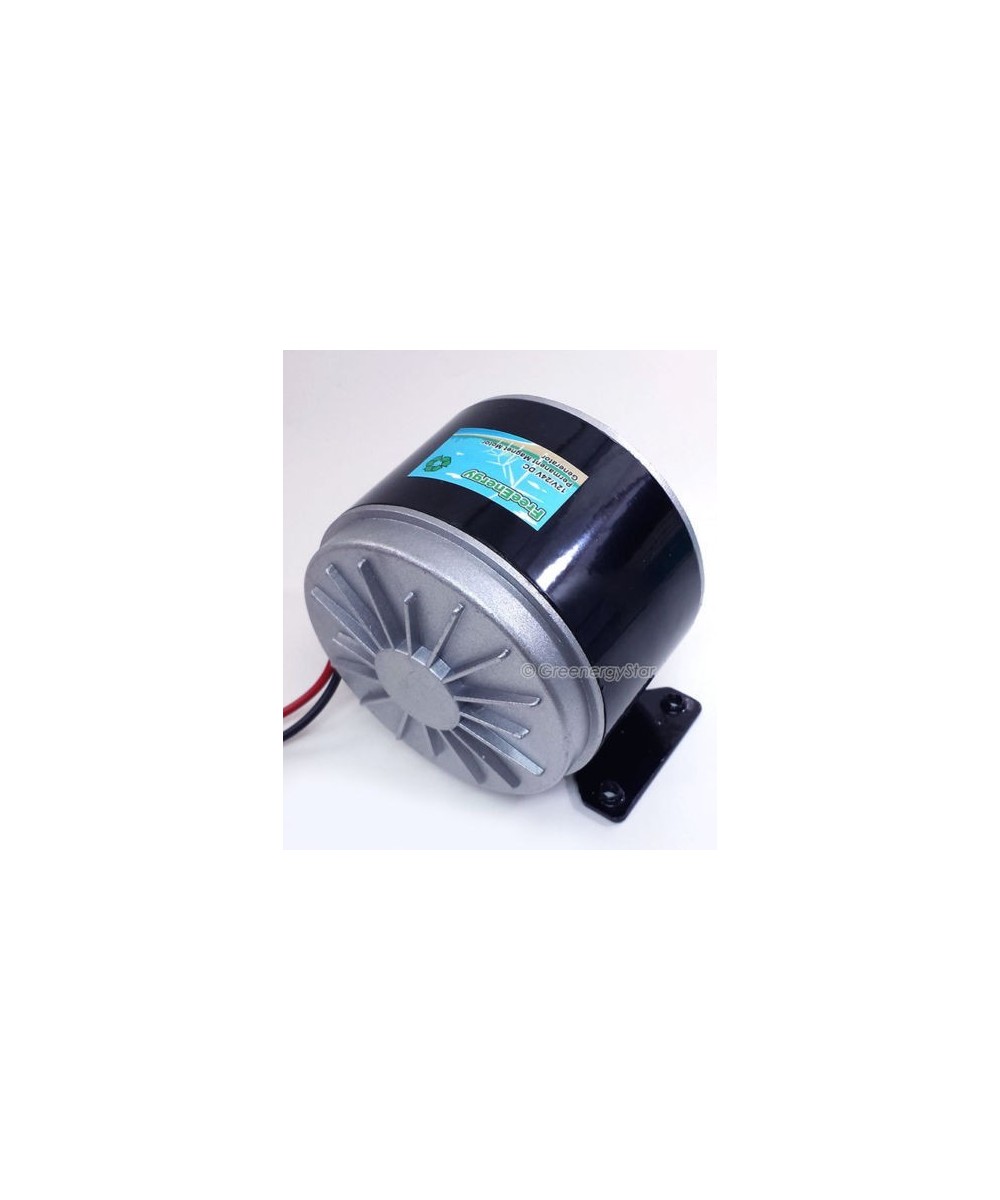 Generador DC de iman permanente 300W