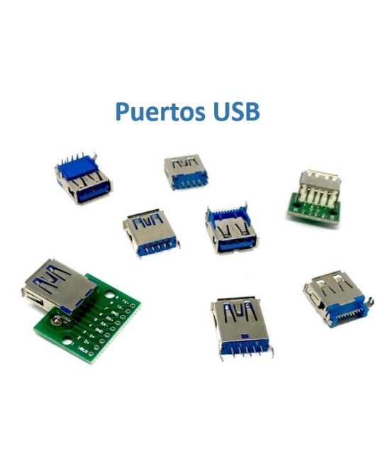 Puerto USB hembra 2.0 / 3.0 tipo A