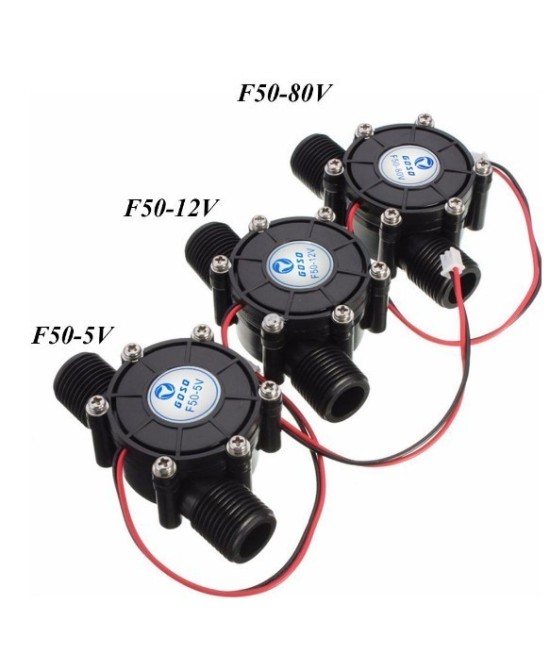 Mini generador eléctrico de ½ 10W F50