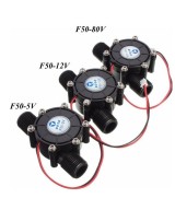 Mini generador eléctrico de ½ 10W F50