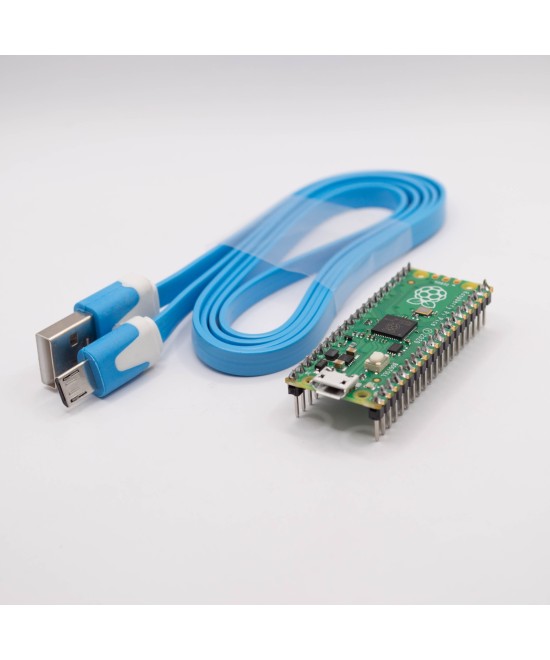 Raspberry Pi Pico