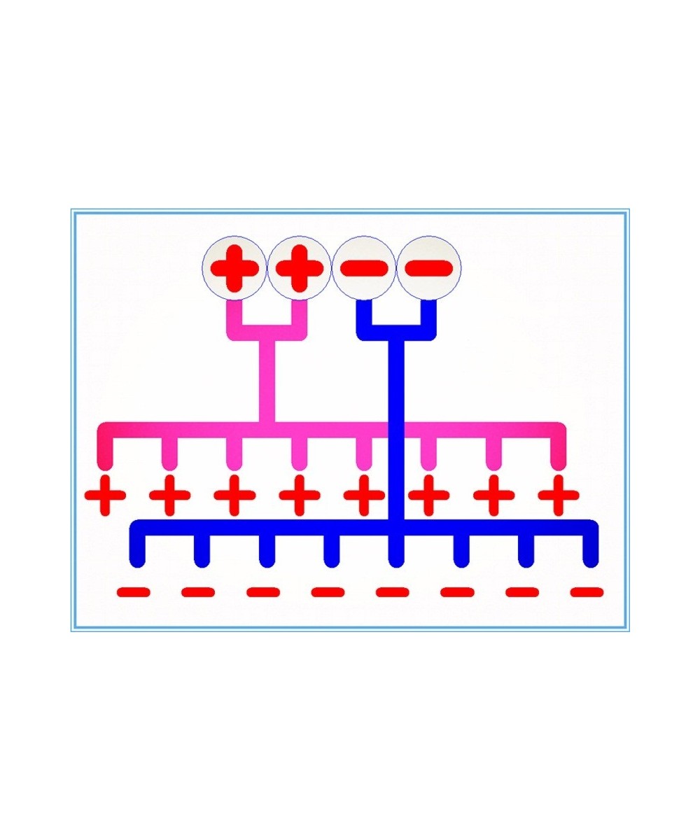 Distribuidor de Energia 2 en 8 para Riel DIN