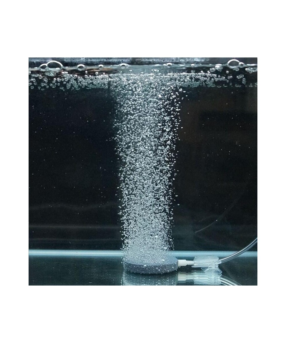 Piedra Difusora de Aire para Acuario