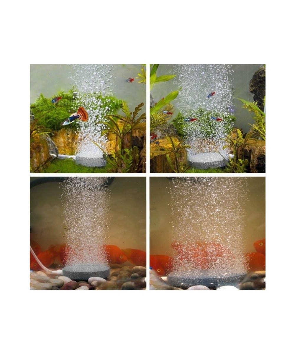 Piedra Difusora de Aire para Acuario