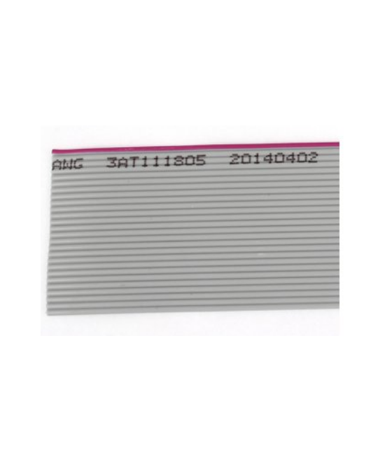 Faja de datos 26 / 40 pines 2m