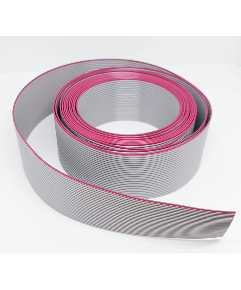 Faja de datos 26 / 40 pines 2m