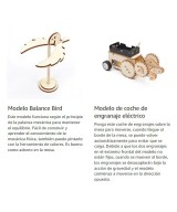 Kit de experimentos de ciencia, bricolaje, con herramienta de pintura de 12 colores (5 KITS)