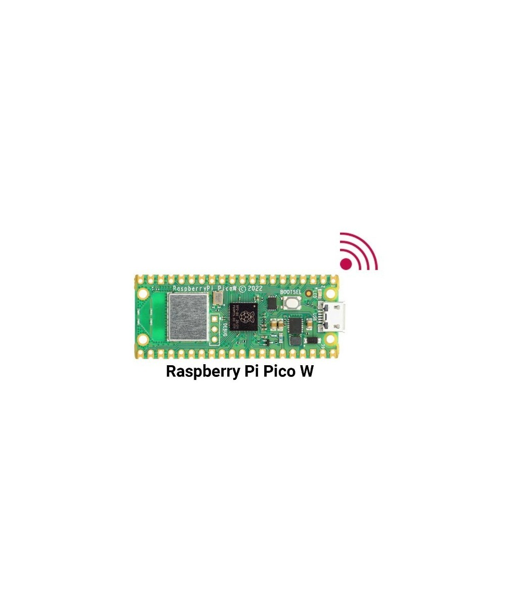 Raspberry pi pico W