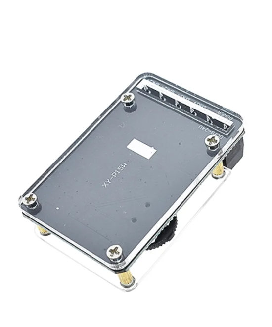 Tarjeta amplificadora de audio bluetooth XY-P15W Con case