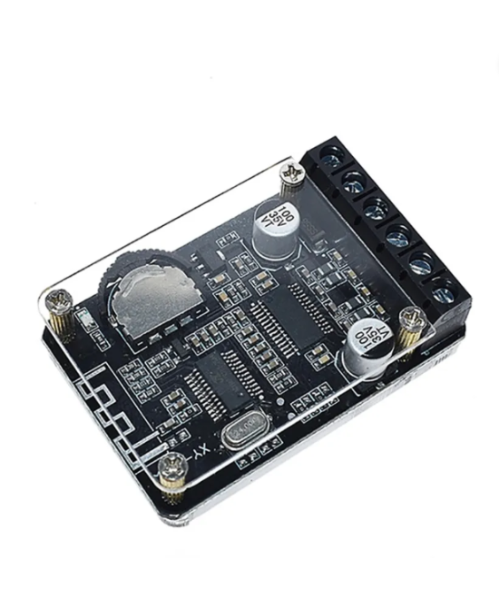 Tarjeta amplificadora de audio bluetooth XY-P15W Con case