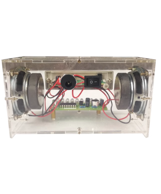Proyecto de electrónica parlante con luz (DIY)