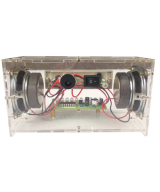 Proyecto de electrónica parlante con luz (DIY)