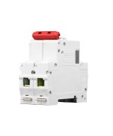 Interruptor disyuntor 2 polos 25A - 63A DELIXI