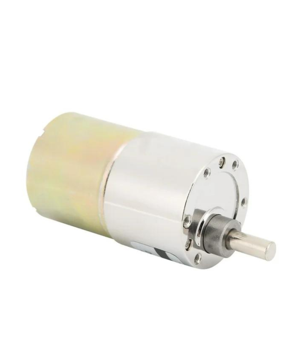 Motor 12v caja reductora 100RPM