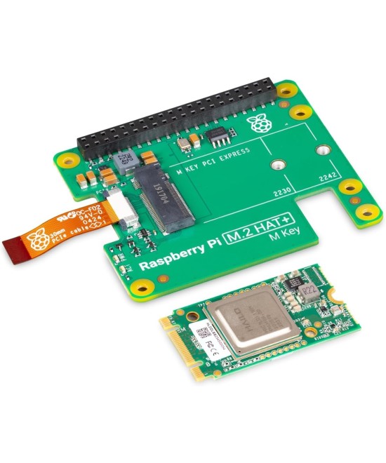 Kit Raspberry Pi AI