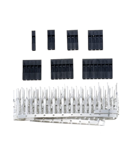 Caja de Conectores Dupont 310 / 620 Unidades