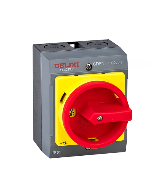 Selector de 2 posiciones impermeable CDF1-20 63A DELIXI