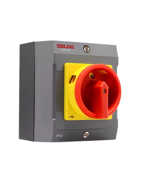 Selector de 2 posiciones impermeable CDF1-20 63A DELIXI