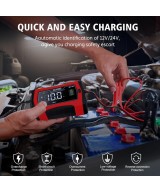 Cargador inteligente de Bateria12/24V 10A agm acido litio lifePO4