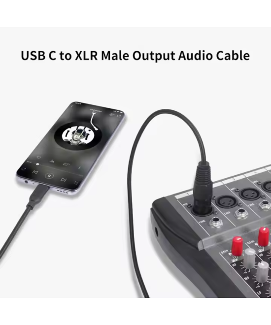 Cable para microfono USB-C a XLR hembra 2M