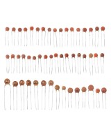 Set de 1000 Capacitores Ceramicos