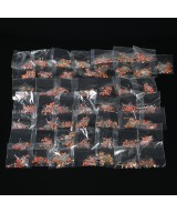 Set de 1000 Capacitores Ceramicos