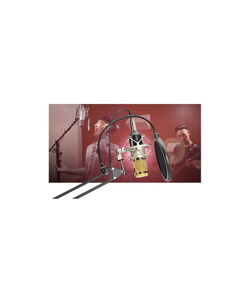 KIT Microfono de condensador BM800