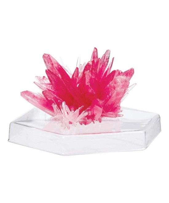 Robot Kids Experimento de cultivo de cristales