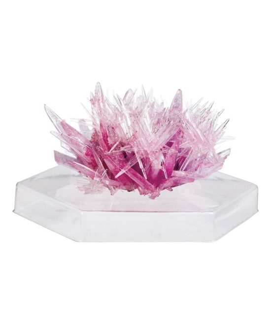 Robot Kids Experimento de cultivo de cristales