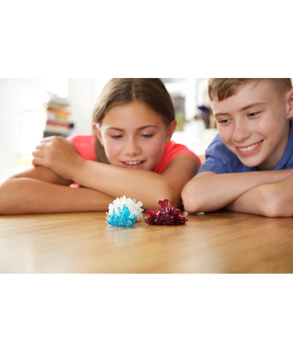 Robot Kids Experimento de cultivo de cristales