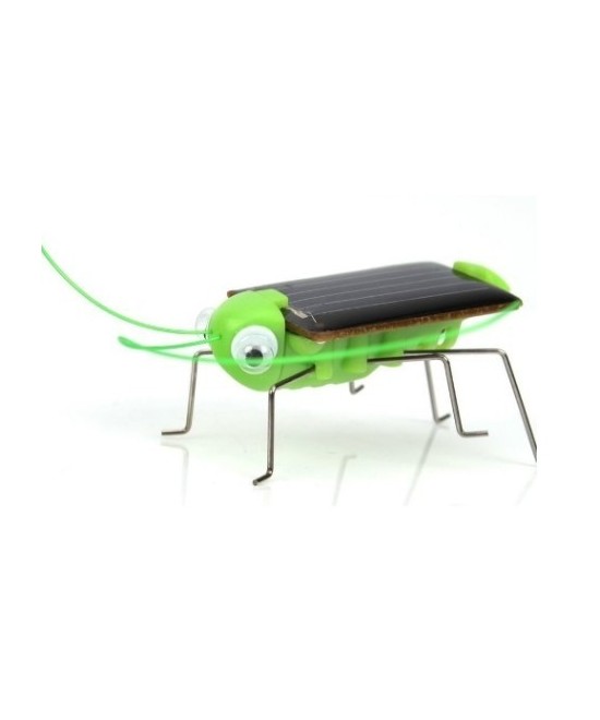 Insecto Robot solar