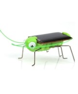 Insecto Robot solar