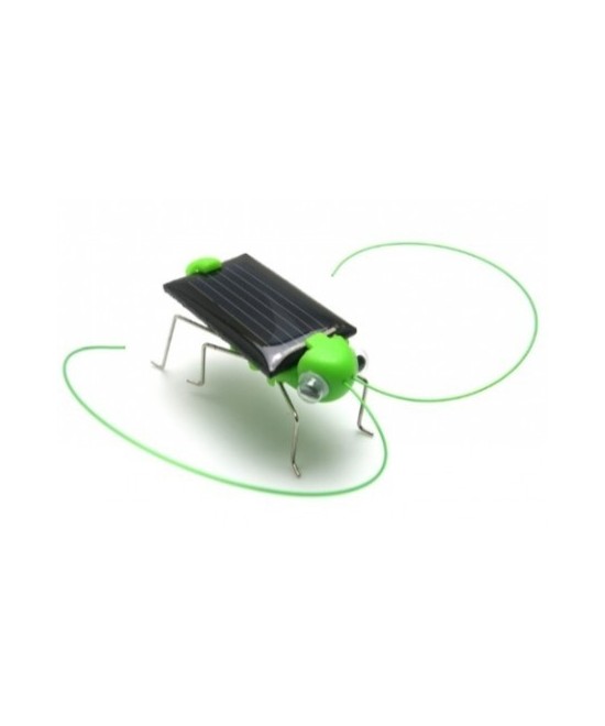 Insecto Robot solar